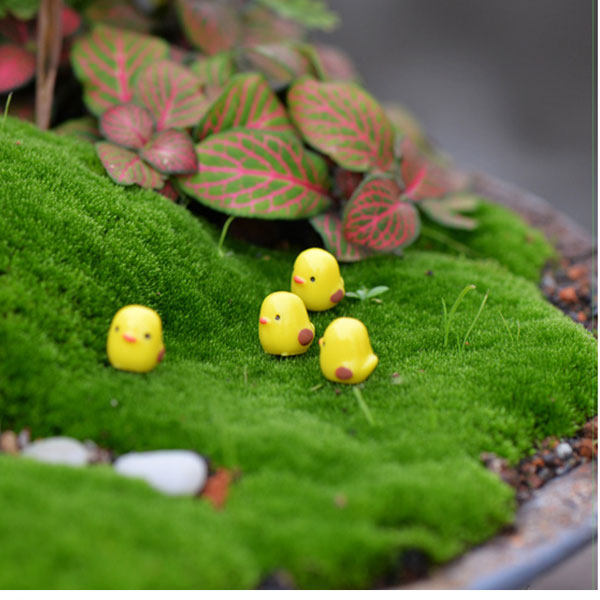 微景观苔藓园艺多肉造景摆件卡通迷你黄色小鸡装饰配饰pvc小摆件,淘宝优惠券,粉丝福利购,淘宝优惠卷