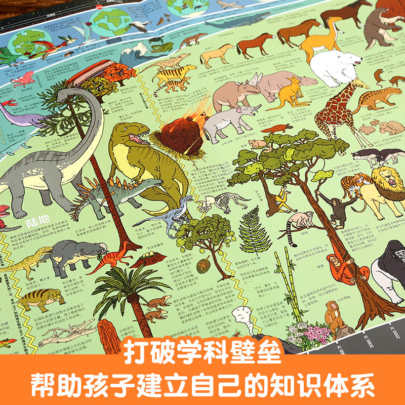 时间图谱百科全书通识大百科6-12岁小学生科普百科历史大全书籍 恐龙通史+昆虫通史+动物通史+植物通史 英国剑桥大学墙书
