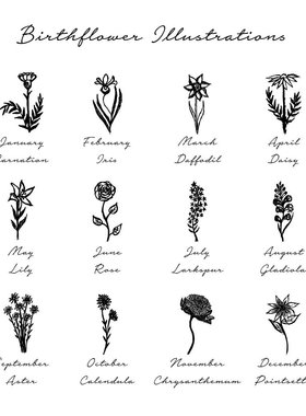 英国george melis高赞12月花项链十二月花诞生花项链月份花项链