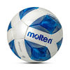 Motten leather wear-resistant universal football