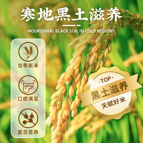 2026年新米五米常香旗舰店东北特产有机五常大米5kg*2双层真空装 - 图1