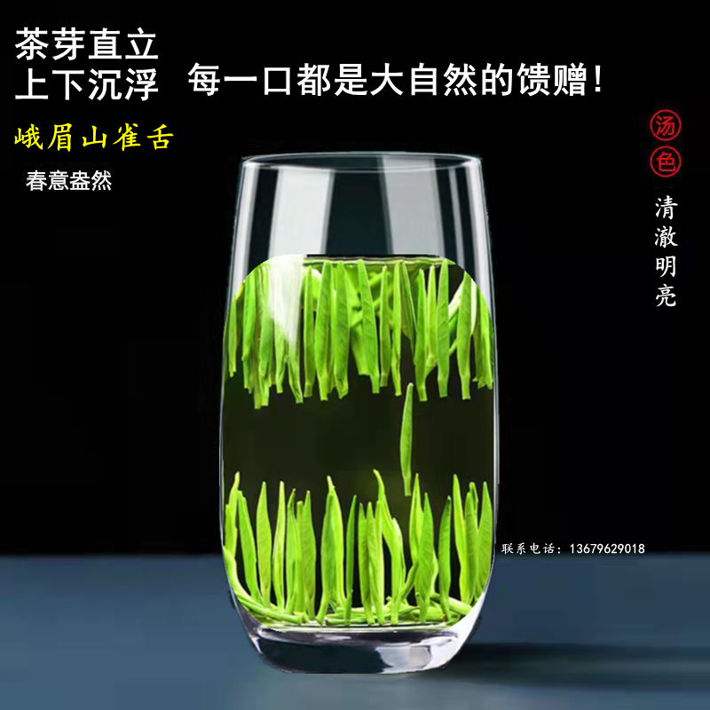 雀舌2024年特级500g绿茶茶叶竹叶茶青新茶四川正宗峨眉山明前散装 - 图1