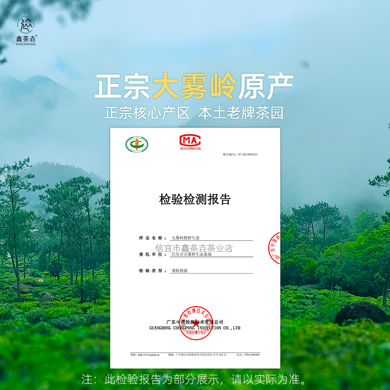 2024新茶大雾岭茶高山绿茶云雾广东信宜特产名茶100g每罐超值热卖 - 图0