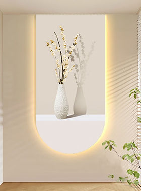 美优淳（MeiYouChun）北欧风玄关装饰画LED氛围灯画植物光影清新
