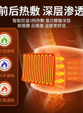 立姿（lizi）德国电加热护腰带按摩发热敷腰间盘保暖突出腰部疼托