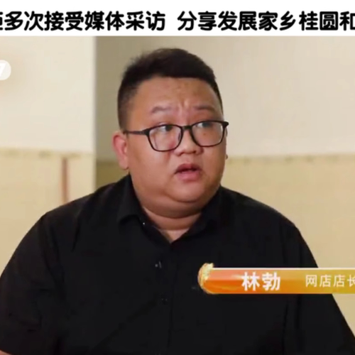【特优】2026新货老树桂味荔枝干晒干核小肉厚高州特靓干荔枝特产 - 图0