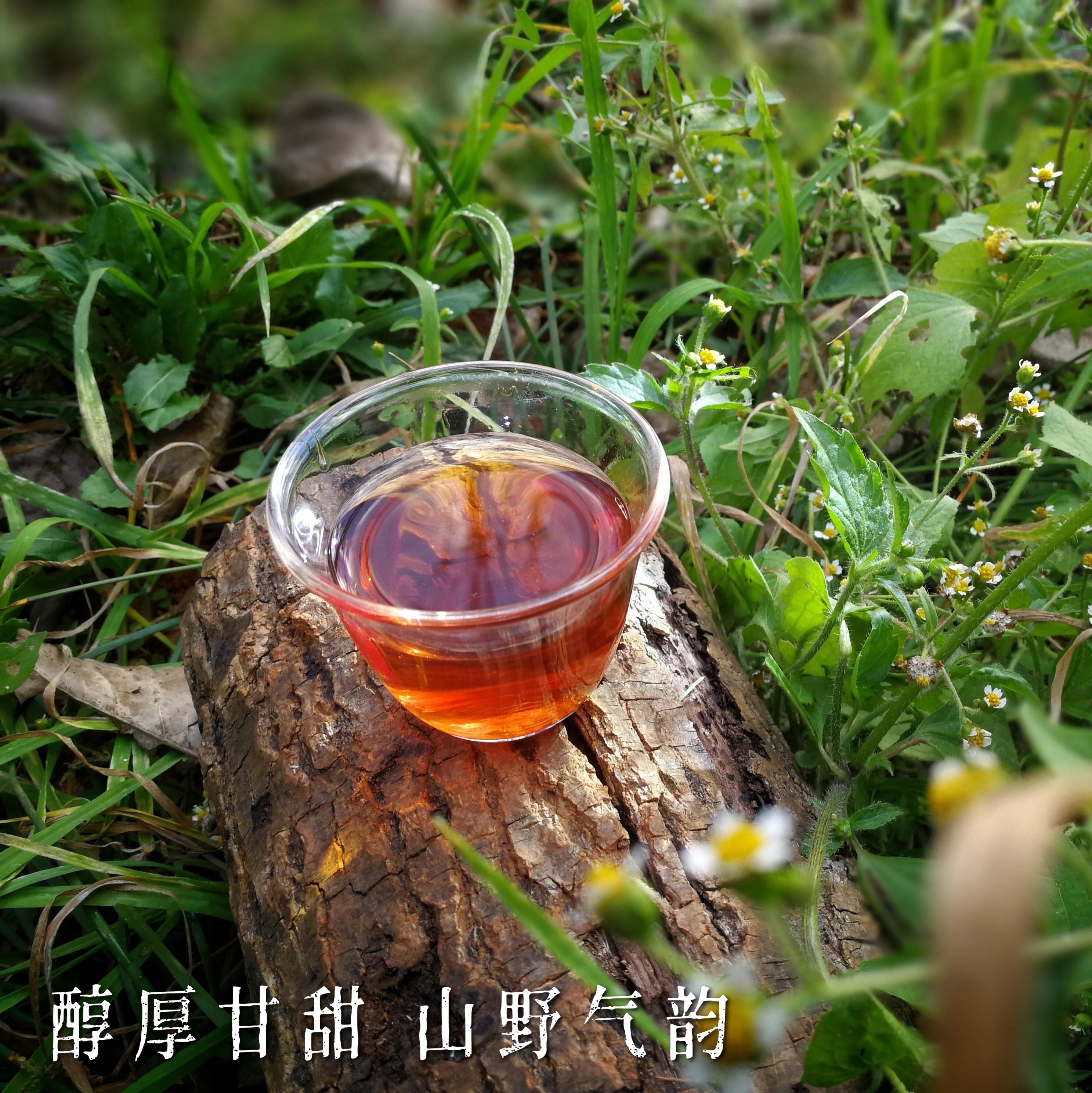 忙肺皇 熟茶 2018年春茶 忙肺村茶叶农民合作社 香醇熟普龙珠500g