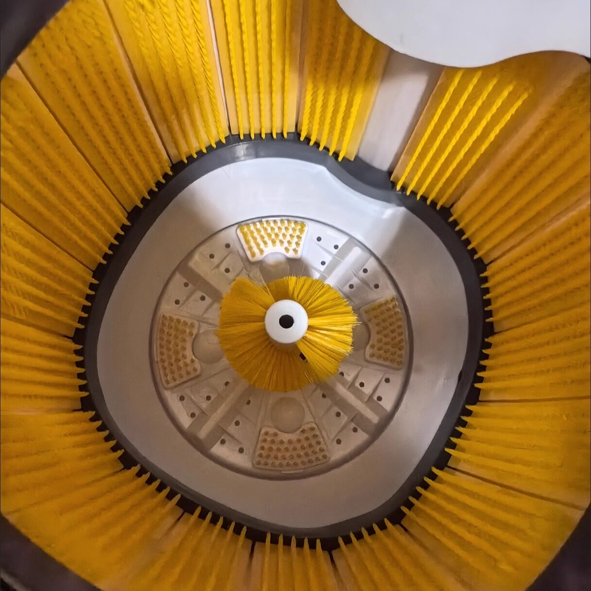 小型田螺清洗机商用家用神器全自动360度无死角全壁刷洗河螺蛳,淘宝优惠券,粉丝福利购,淘宝优惠卷