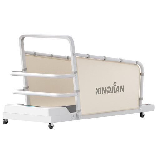 狗狗跑步机犬用猫咪跑步机比熊泰迪柯基宠物跑步机中小型犬走步机 - 图3