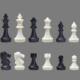 UB Chinese Chess/International Chess UB AIA Magnetic