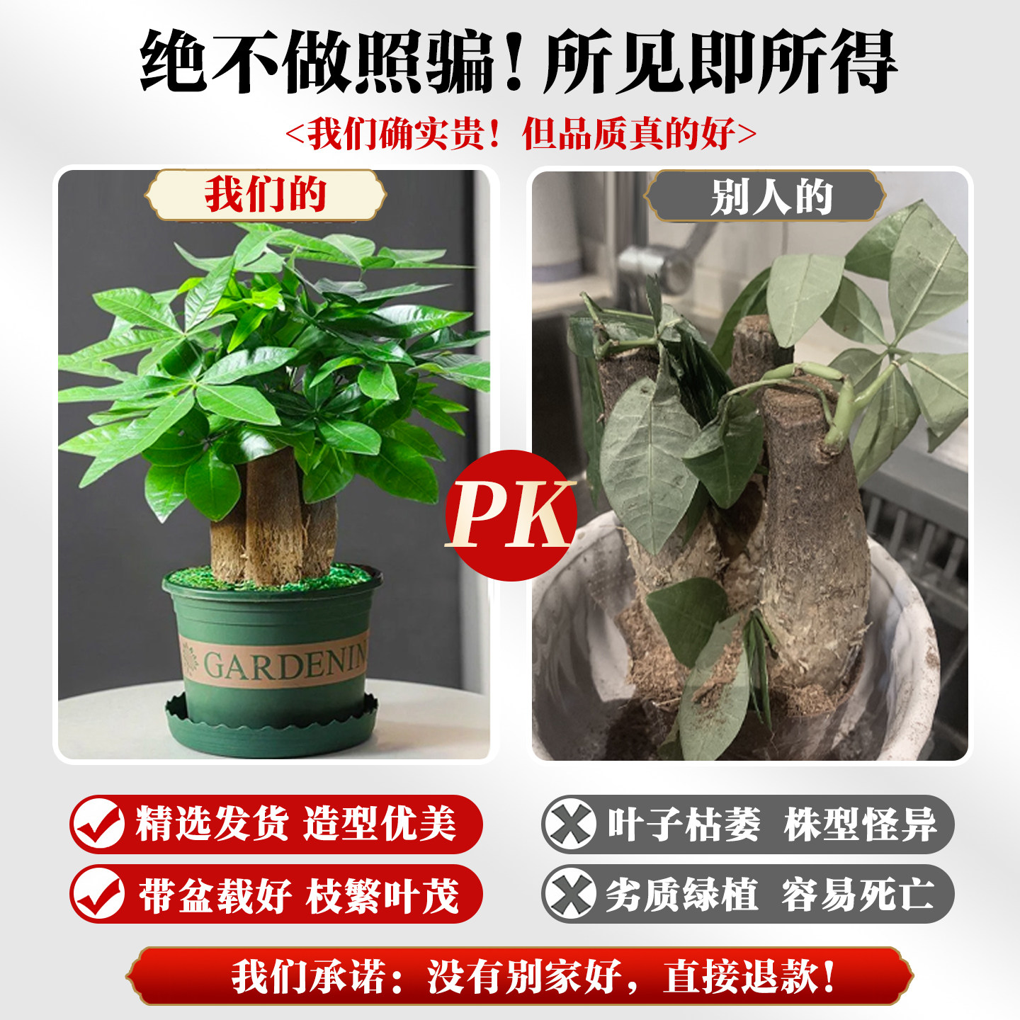 大盆发财树盆栽客厅前台办公室三杆步步高招财树盆景新中式款绿植,淘宝优惠券,粉丝福利购,淘宝优惠卷