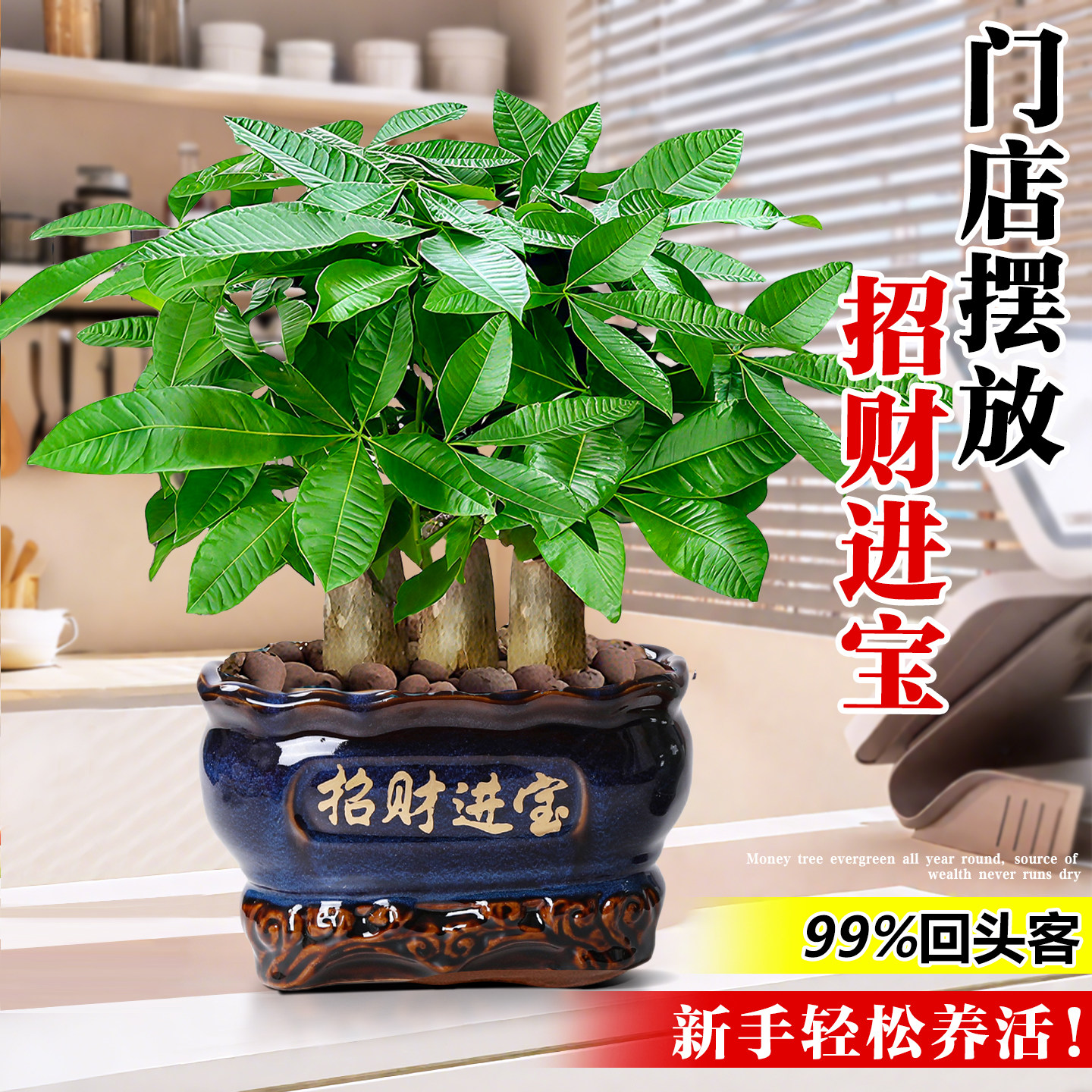 大盆发财树盆栽客厅前台办公室三杆步步高招财树盆景新中式款绿植,淘宝优惠券,粉丝福利购,淘宝优惠卷