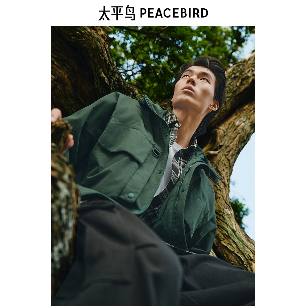 图 3
