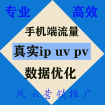 Дополнение к веб-сайту Дополнение к УФ IP PV Дополнение к независимому посетителю