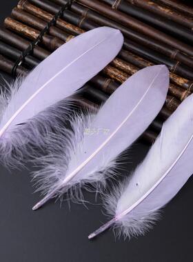 .diy羽毛天鹅l毛硬飘彩色