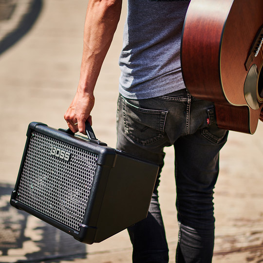 Roland Professional Guitar Speaker