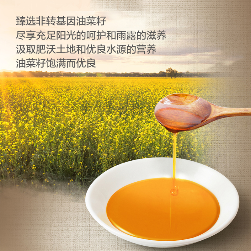 鲤鱼牌菜籽油小瓶700ml油菜籽压榨菜油食用油宿舍调料菜子油清油 - 图1