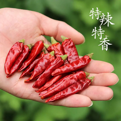 汉源花椒特麻大红袍麻椒四川小米辣特辣干辣椒川菜调料调味品麻辣 - 图2
