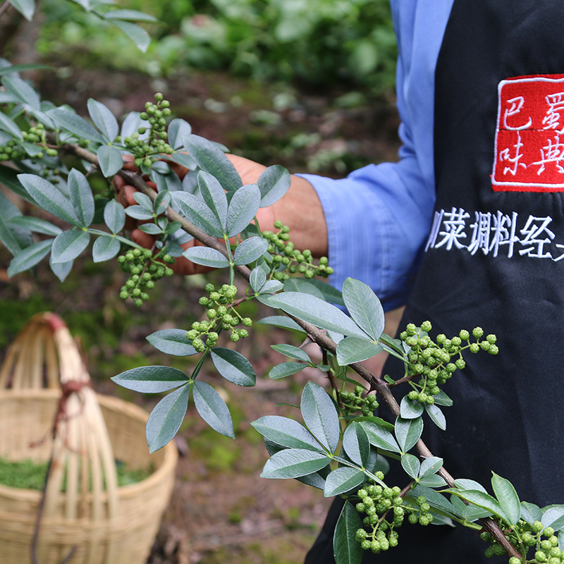 米仓山青花椒粉麻椒粉四川汉源花椒面青麻椒面250g粉藤椒面特麻 - 图0