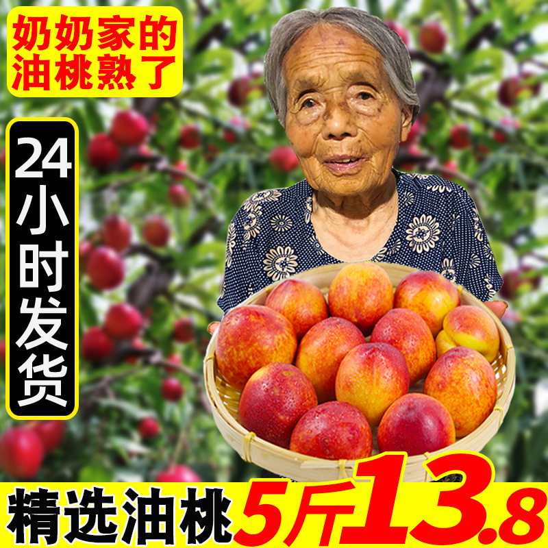 喜多鲜旗舰店现季发货黄心油桃5斤桃子应时令新鲜水果包邮超甜肉脆桃水蜜桃100