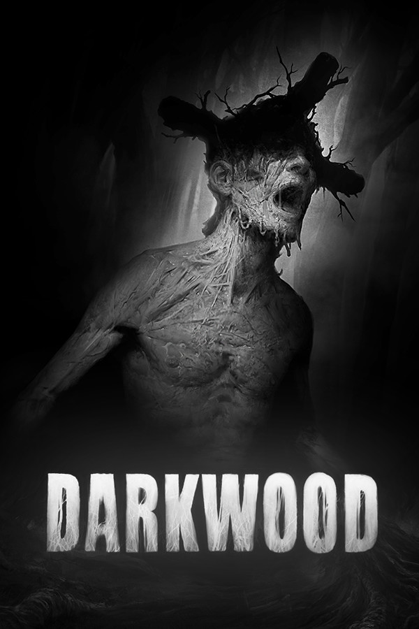 PC中文正版 steam平台 国区 恐怖游戏 阴暗森林 Darkwood 激活码 CDkey - 图1