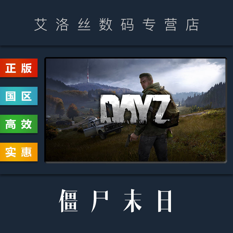 steam平台 中文正版 联机游戏 DayZ 僵尸末日 PC 国区激活码 CDK 全新成账号 - 图2