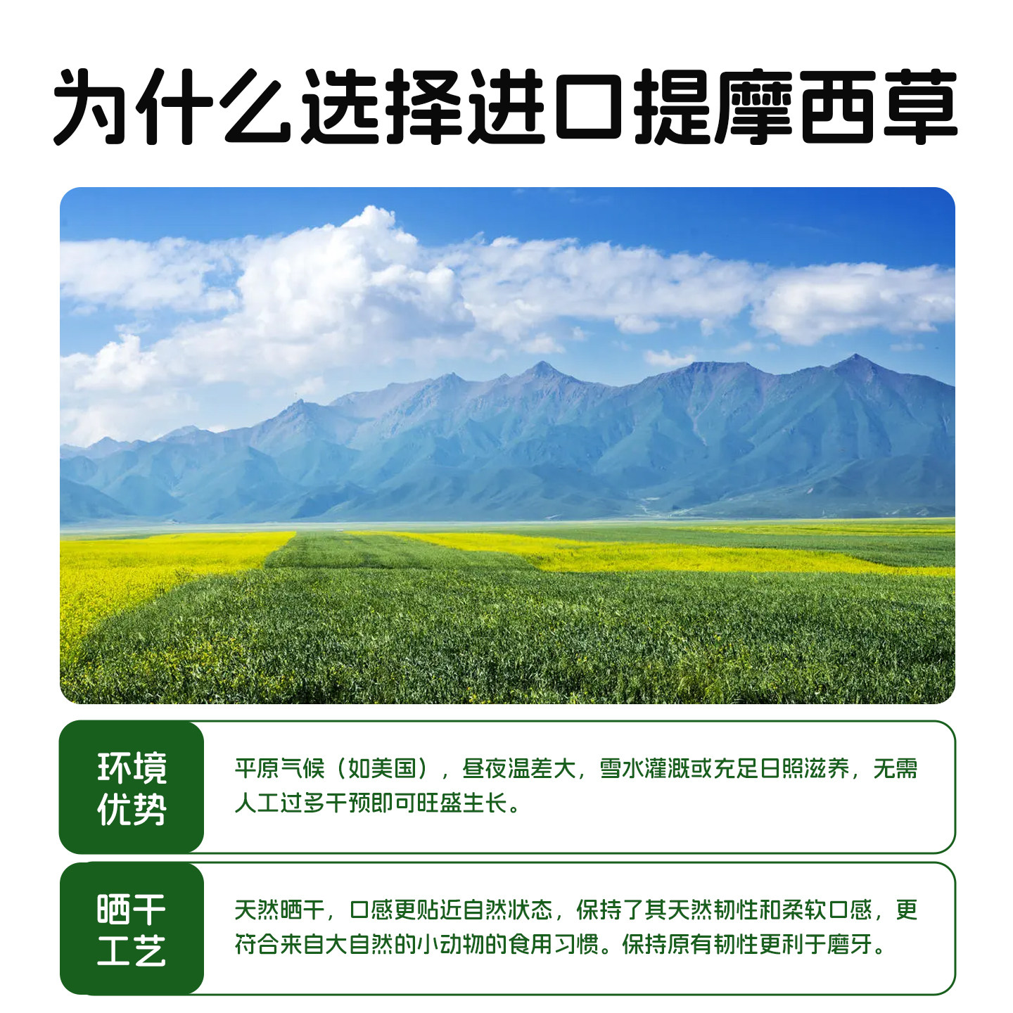 25年特优级美提美国wr提摩西草兔草荷兰猪龙猫干草磨牙提摩西草,淘宝优惠券,粉丝福利购,淘宝优惠卷