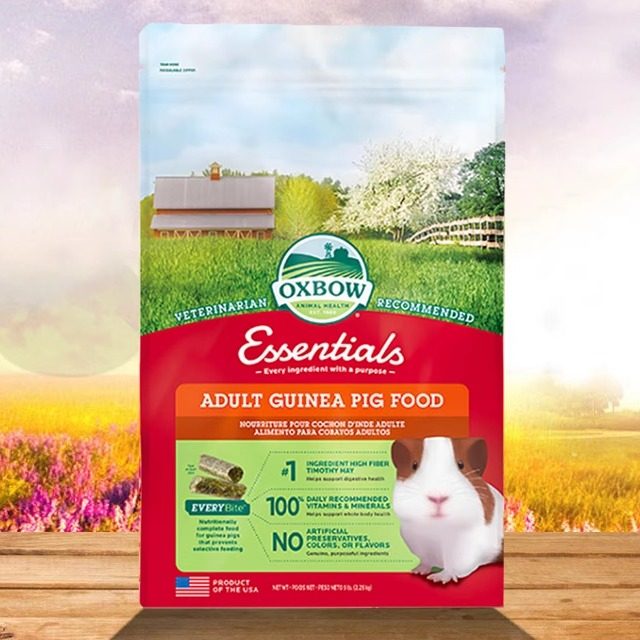现货美国Oxbow爱宝成年天竺鼠粮2.25kg荷兰猪粮进口豚鼠主粮27.6,淘宝优惠券,粉丝福利购,淘宝优惠卷