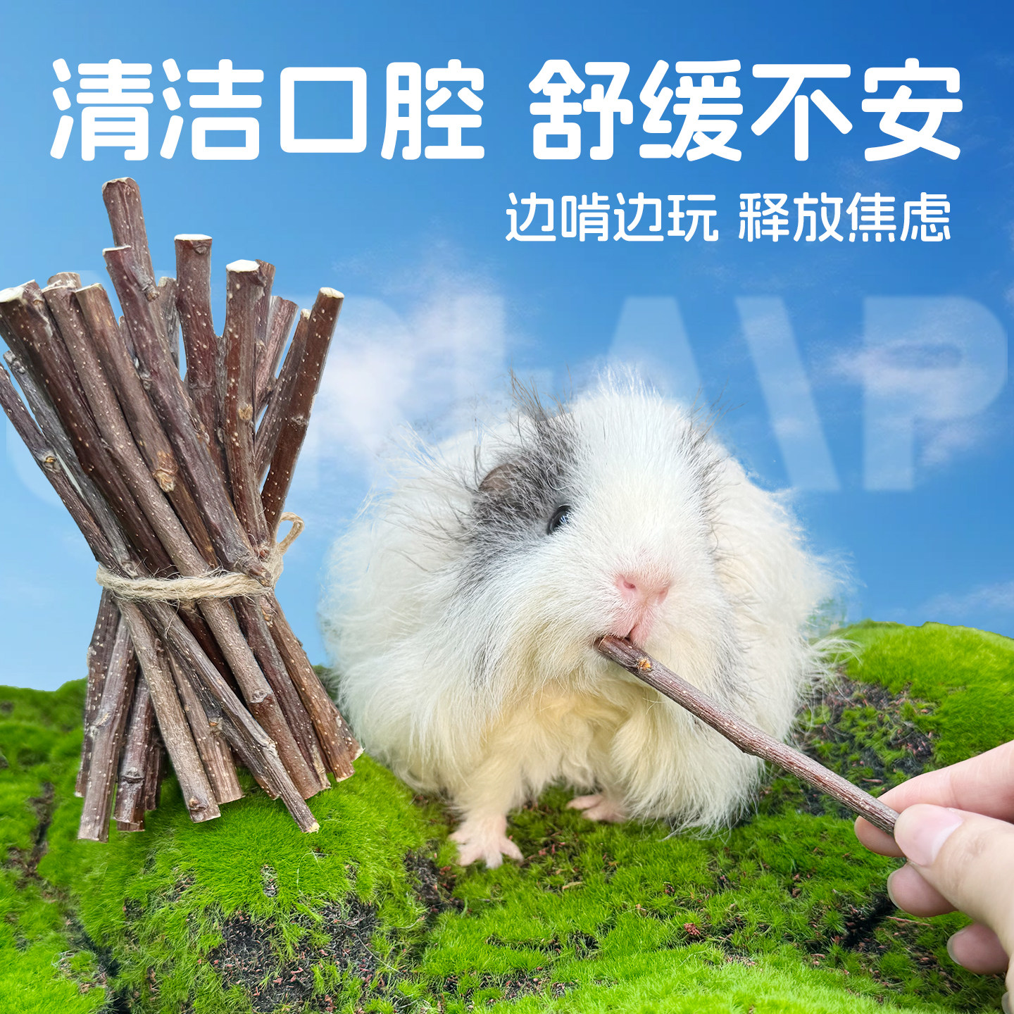 天然苹果枝磨牙枝 磨牙咬木 50g豚鼠磨牙木棒,淘宝优惠券,粉丝福利购,淘宝优惠卷