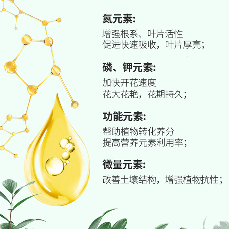 榕树肥料榕树专用肥盆景有机复合肥通用花卉绿植缓释肥水溶营养液 - 图2