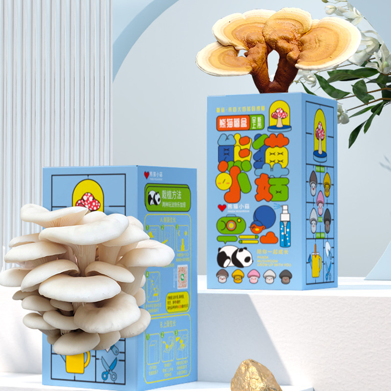DIY蘑菇种植菌包蘑菇盒家庭室内种植蘑菇科学小实验儿童益智玩具 - 图3