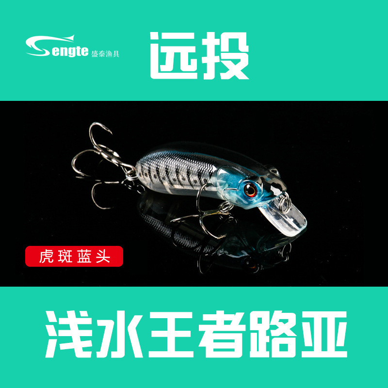 新款沉水路亚饵6cm/10g 米诺远投路亚硬饵仿生翘嘴鱼饵带血槽钩 - 图1