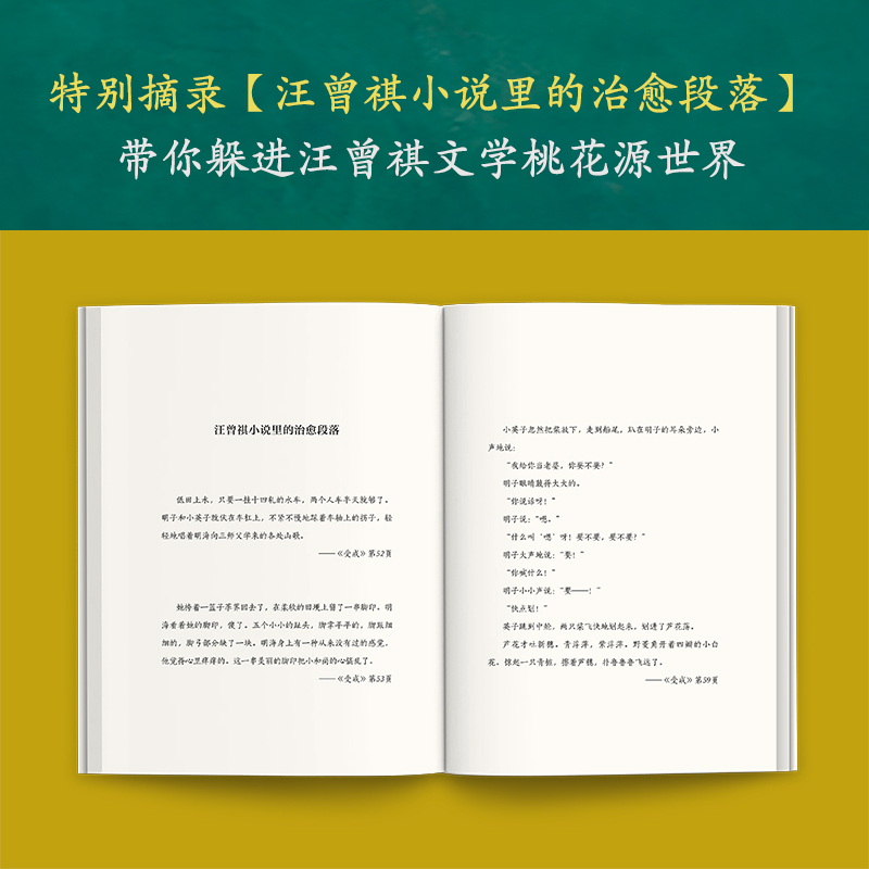 现货《受戒：汪曾祺小说精选》读客正版文学 躲进汪曾祺的文学桃花源 真的好治愈啊 收录代表作33篇 一本读透汪曾祺小说精髓 - 图1