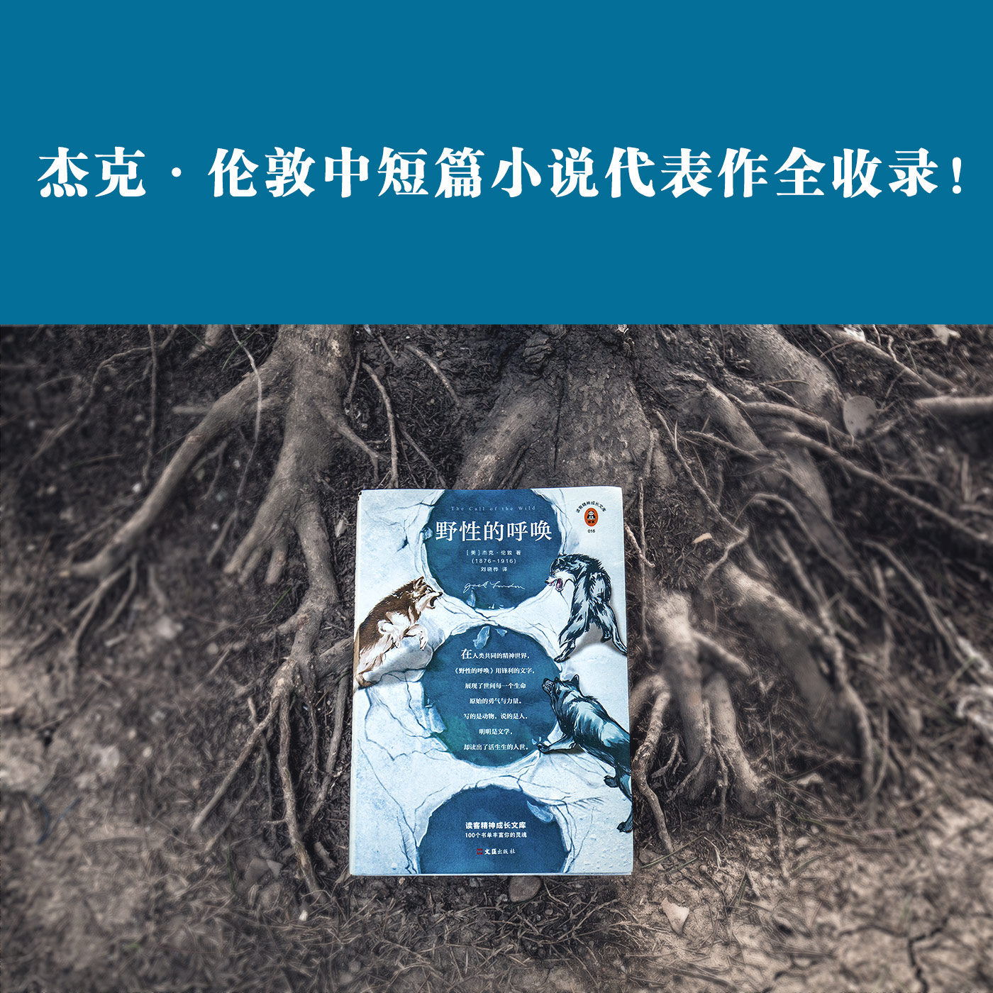 野性的呼唤【书单来了推荐】[美]杰克·伦敦著刘晓桦译 写给世间每一个孤独的灵魂展现了世间每一个生命原始的勇气和力量读客正版 - 图3