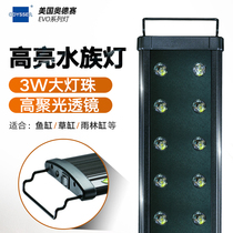 Odesai LED light fish tank lamp aquarium rainforest cylinder water straw cylinder stretch lamp 3W High power sea water blue white light