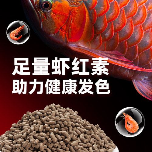 老渔匠金银红龙鱼饲料招财观赏鱼增发色专用鱼粮大小上浮颗粒鱼食 - 图2
