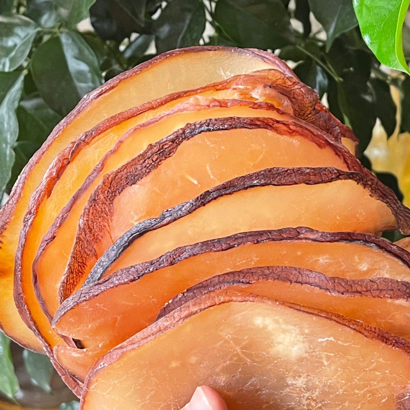 响螺片500g海鲜海产 海螺肉干货 红螺头汤包淡干养生滋补煲汤食材,淘宝优惠券,粉丝福利购,淘宝优惠卷