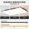 2026 New Atmospheric Living Room Lamp Modern Simple Whole House Ceiling Lamp Bedroom Restaurant Chandelier Zhongshan Lamps Collection