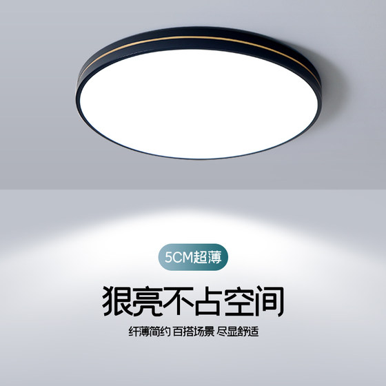 2026 New Simple Modern Atmospheric Ceiling Lamp