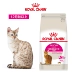 Thức ăn cho mèo hoàng gia hương vị toàn năng vào thức ăn cho mèo 2kg4 kg thú cưng ngoáy miệng Anh cộng với thức ăn cho mèo Philippines 25 tỉnh - Cat Staples Cat Staples