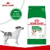 Royal Royal PR27 Chó nhỏ dành cho người lớn Thức ăn cho chó 8kg Gấu bông Xiong Bomei Bulldog Pet General Dog Food - Chó Staples thức ăn chó smartheart Chó Staples