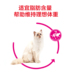 Thức ăn cho mèo Hoàng gia EP42 Toàn năng được tối ưu hóa thành thức ăn cho mèo Thức ăn thoải mái đường ruột Thực phẩm 2Kg Thức ăn cho mèo 25 tỉnh - Cat Staples minino 1.3 kg Cat Staples