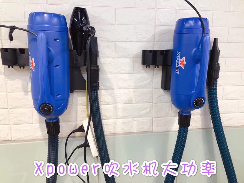 XPOWER B-27 宠物猫狗双马达吹水机吹风机大功率低噪音吹毛机配件 - 图2