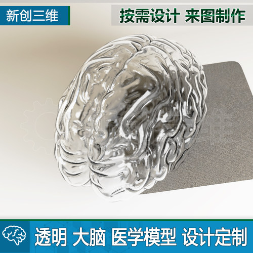 透明3D打印大脑模拟定制医疗心脏医学教学教具脑部肺部胃肝脏肾脏 - 图1