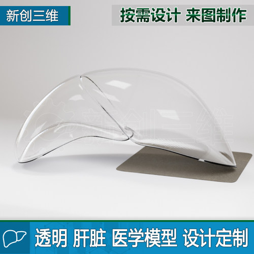 肝脏3D打印医疗透明医学教学教具大脑脑部肺部胃部心脏肾脏定制 - 图1