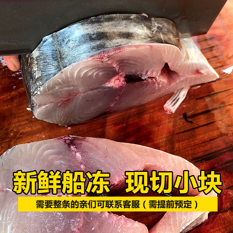 马鲛鱼片深海鱼大鲅鱼潮汕海鲜水产新鲜冷冻1份1斤现切小马胶鱼肉 - 图2