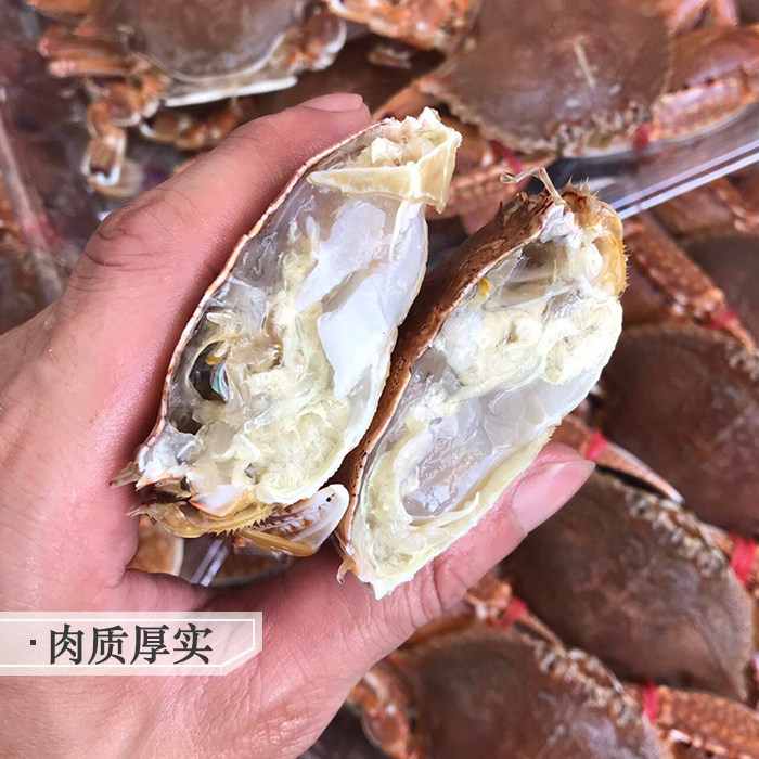 扁蟹冷冻海蟹海捕螃蟹潮汕海鲜水产红螃蟹大蟹非小青蟹肉蟹梭子蟹,淘宝优惠券,粉丝福利购,淘宝优惠卷