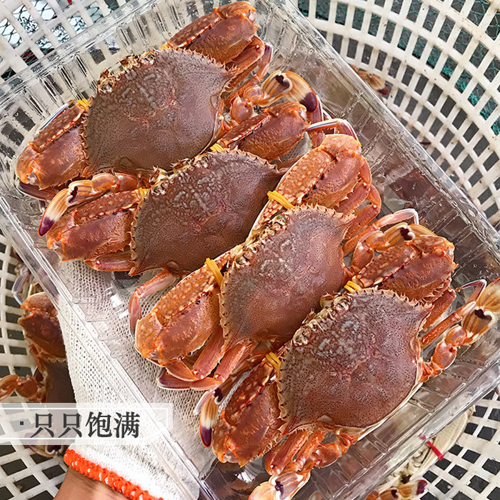 扁蟹冷冻海蟹海捕螃蟹潮汕海鲜水产红螃蟹大蟹非小青蟹肉蟹梭子蟹,淘宝优惠券,粉丝福利购,淘宝优惠卷