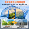 Plastic greenhouse film