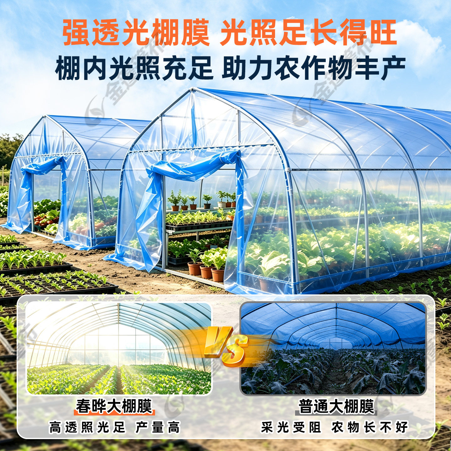 Plastic greenhouse film
